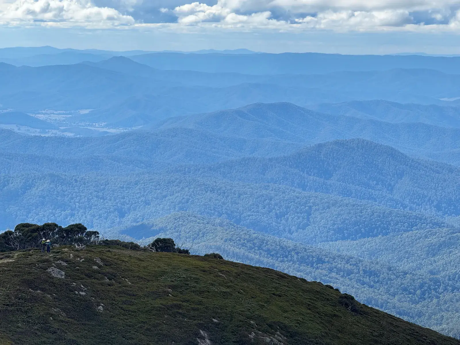 ทิวเขาสลับซับซ้อนสีฟ้าของ High Country รัฐวิกตอเรีย มองจากยอดเขา